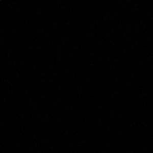 Meet your Posher, Griffin